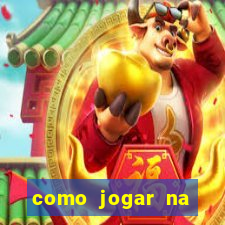 como jogar na lotinha do jogo do bicho